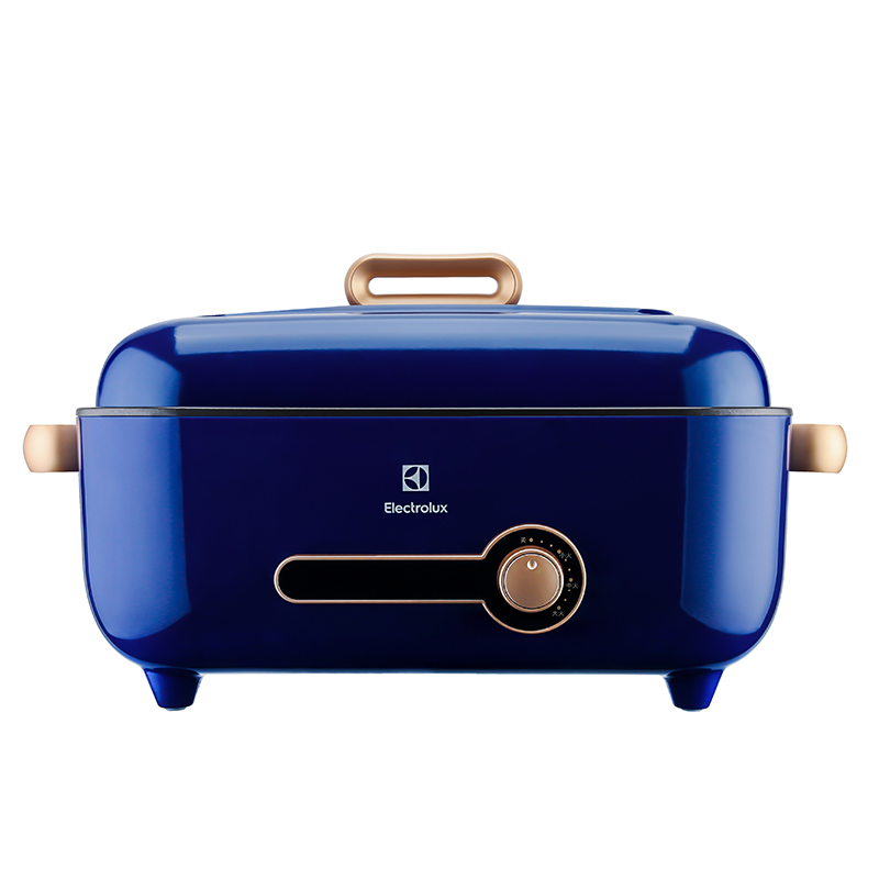 ������˹EGTG5010�๦�ܵ���